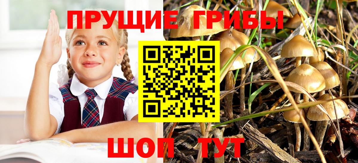 Галлюциногенные грибы мухоморы Нижний Новгород