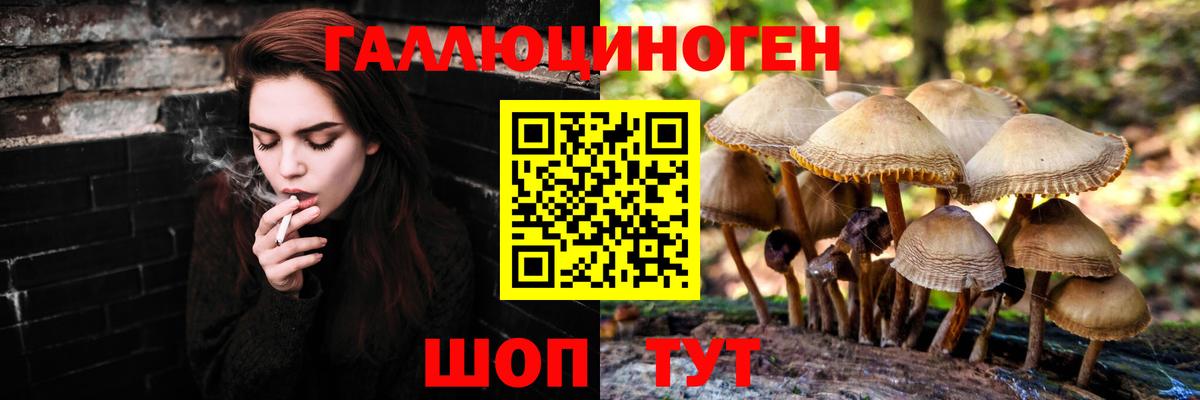 Галлюциногенные грибы Cubensis  Псилоцибиновые грибы Psilocybine cubensis  Нижний Новгород  Вход с VPN 